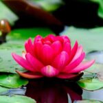 espaço-aconchego-em-natal_23_03_2026