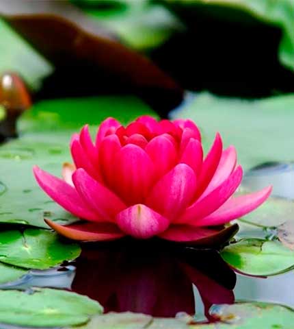 espaço-aconchego-em-natal_23_03_2026